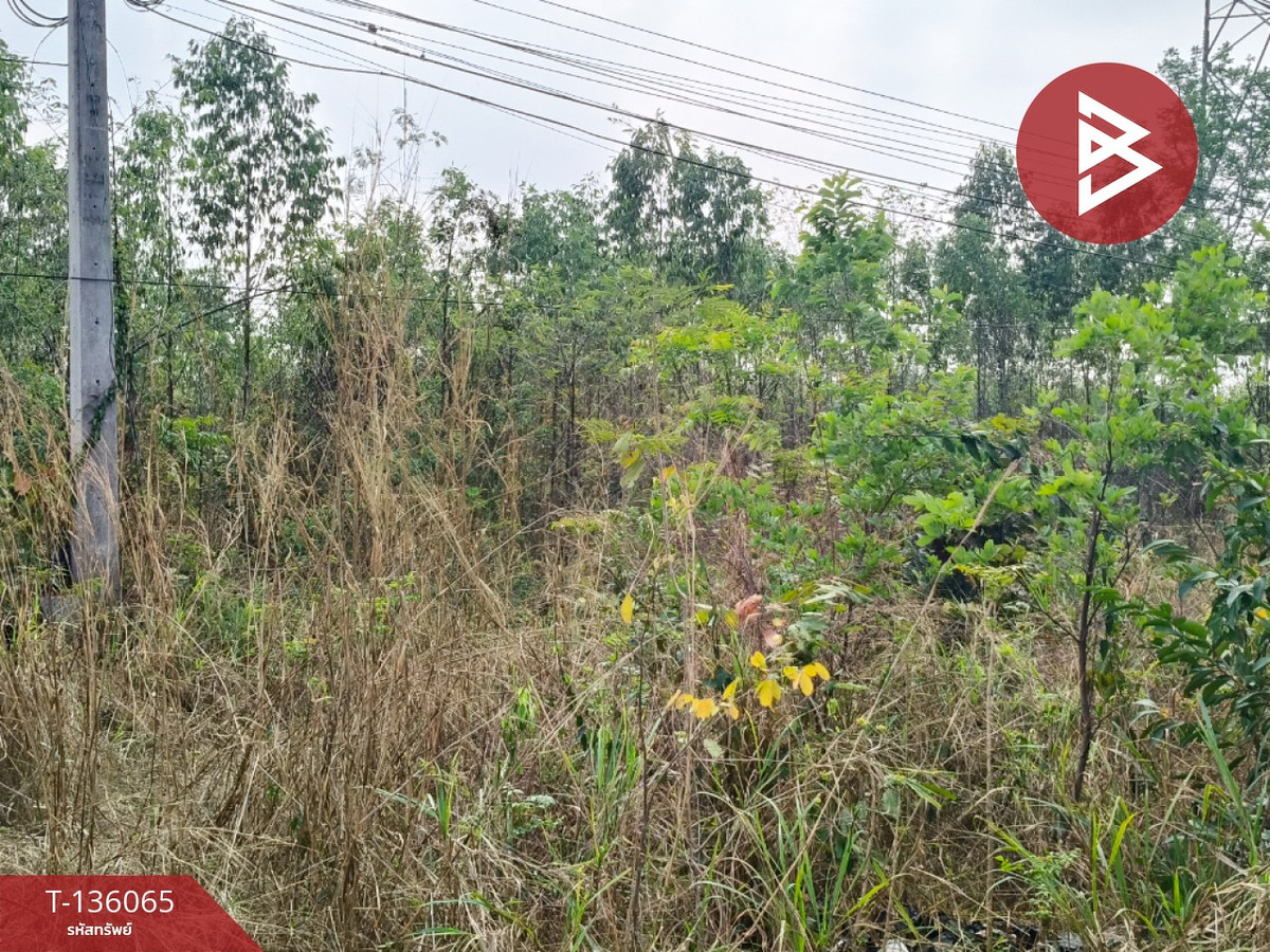 ขายที่ดิน เนื้อที่ 6 ไร่ 3 งาน 64 ตร.วา พนัสนิคม ชลบุรี