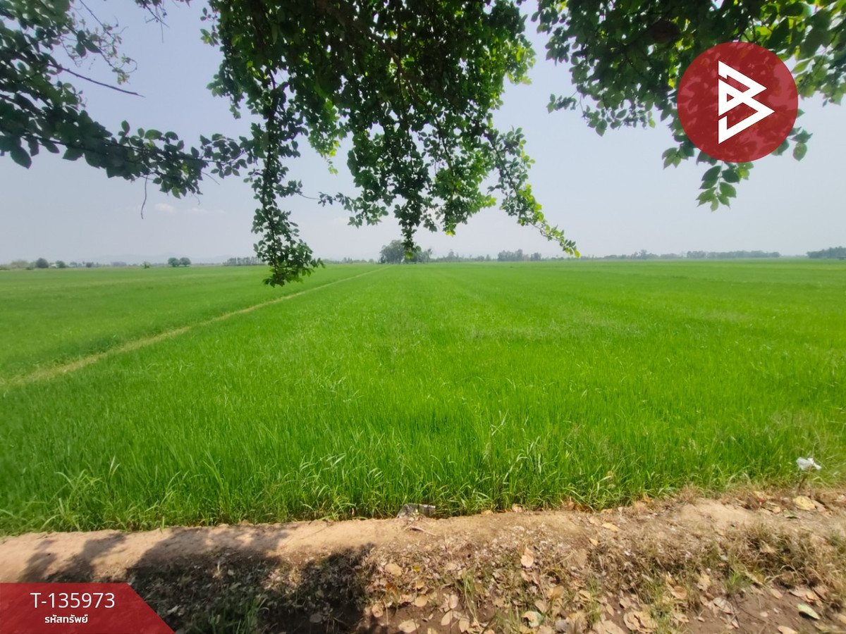 ขายที่ดิน เนื้อที่ 8 ไร่ 52 ตร.วา พิชัย อุตรดิตถ์