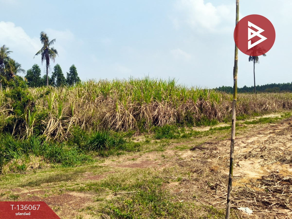 ขายที่ดิน เนื้อที่ 12 ไร่ 3 งาน 74 ตร.วา บ่อทอง ชลบุรี