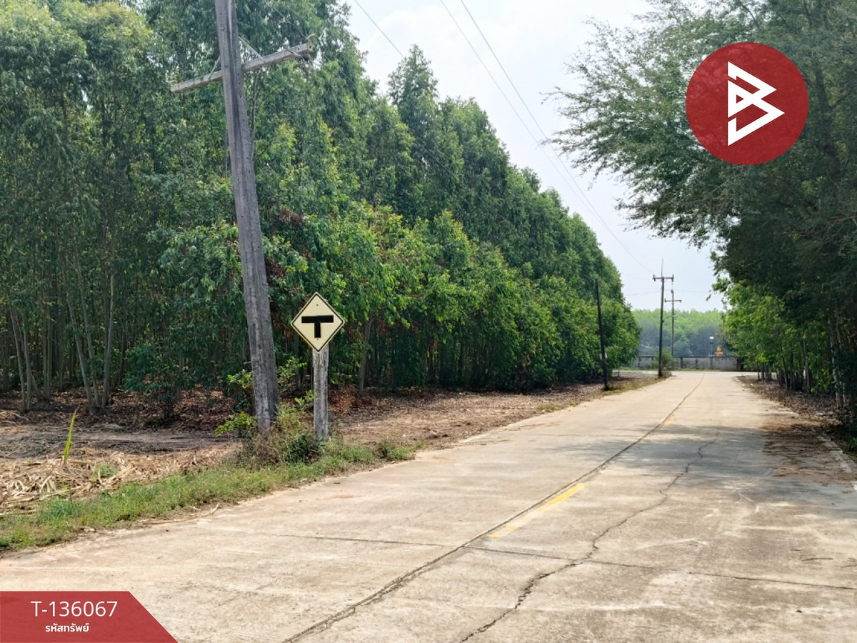 ขายที่ดิน เนื้อที่ 12 ไร่ 3 งาน 74 ตร.วา บ่อทอง ชลบุรี