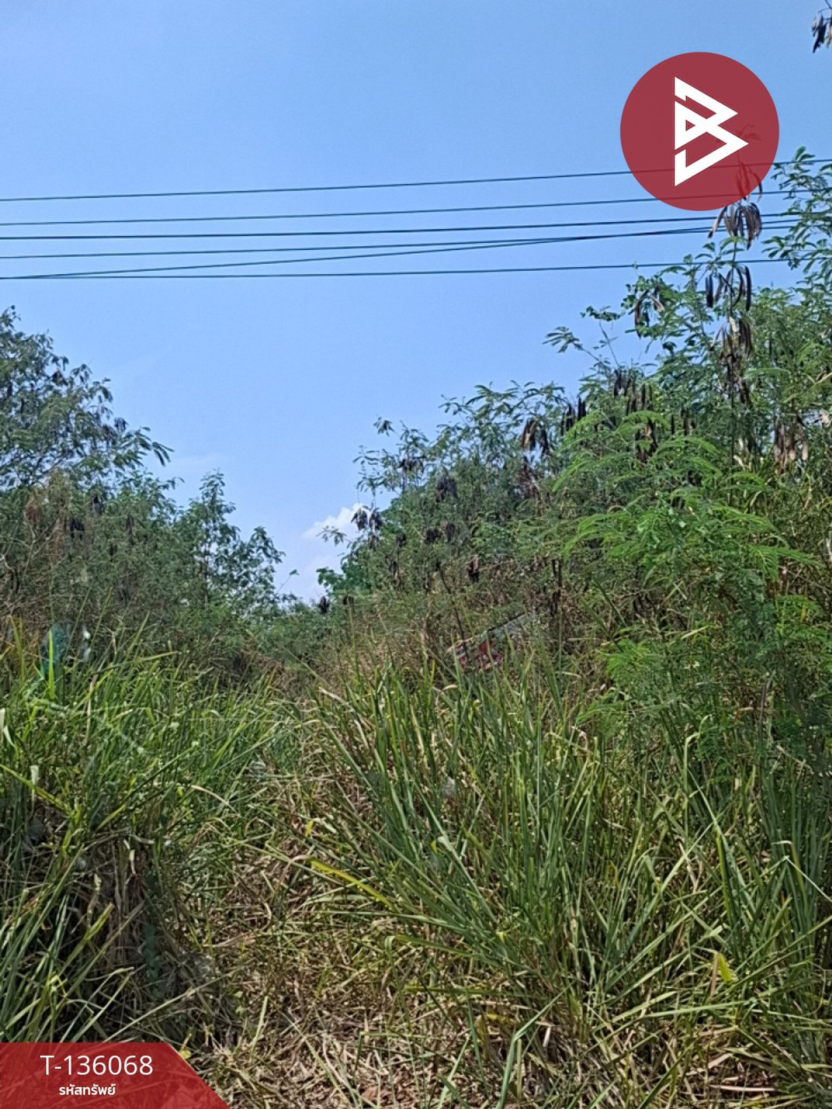 ขายที่ดิน เนื้อที่ 1 งาน 64 ตร.วา โชคชัย นครราชสีมา