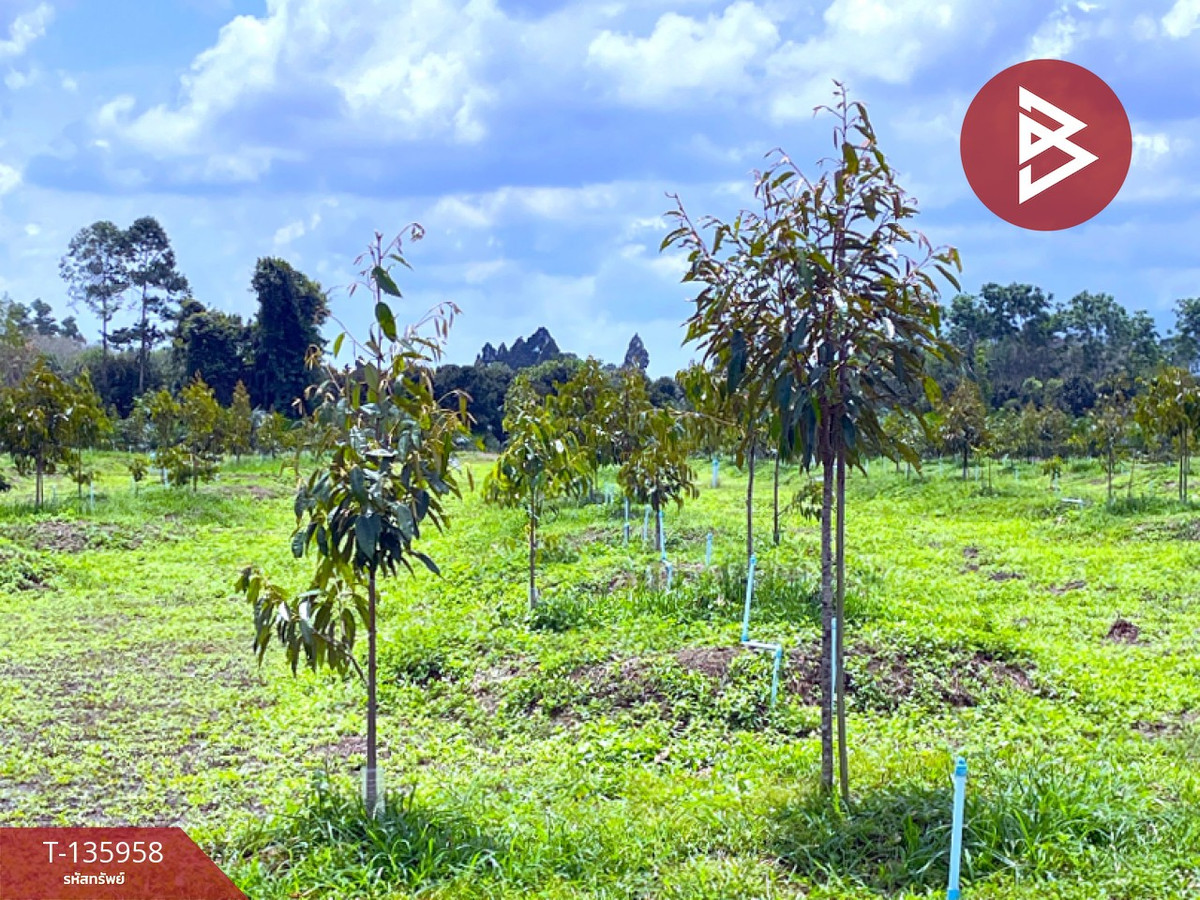 ขายที่ดินพร้อมสวน เนื้อที่ 16 ไร่ 2 งาน 89 ตร.วา นบพิตำ นครศรีธรรมราช