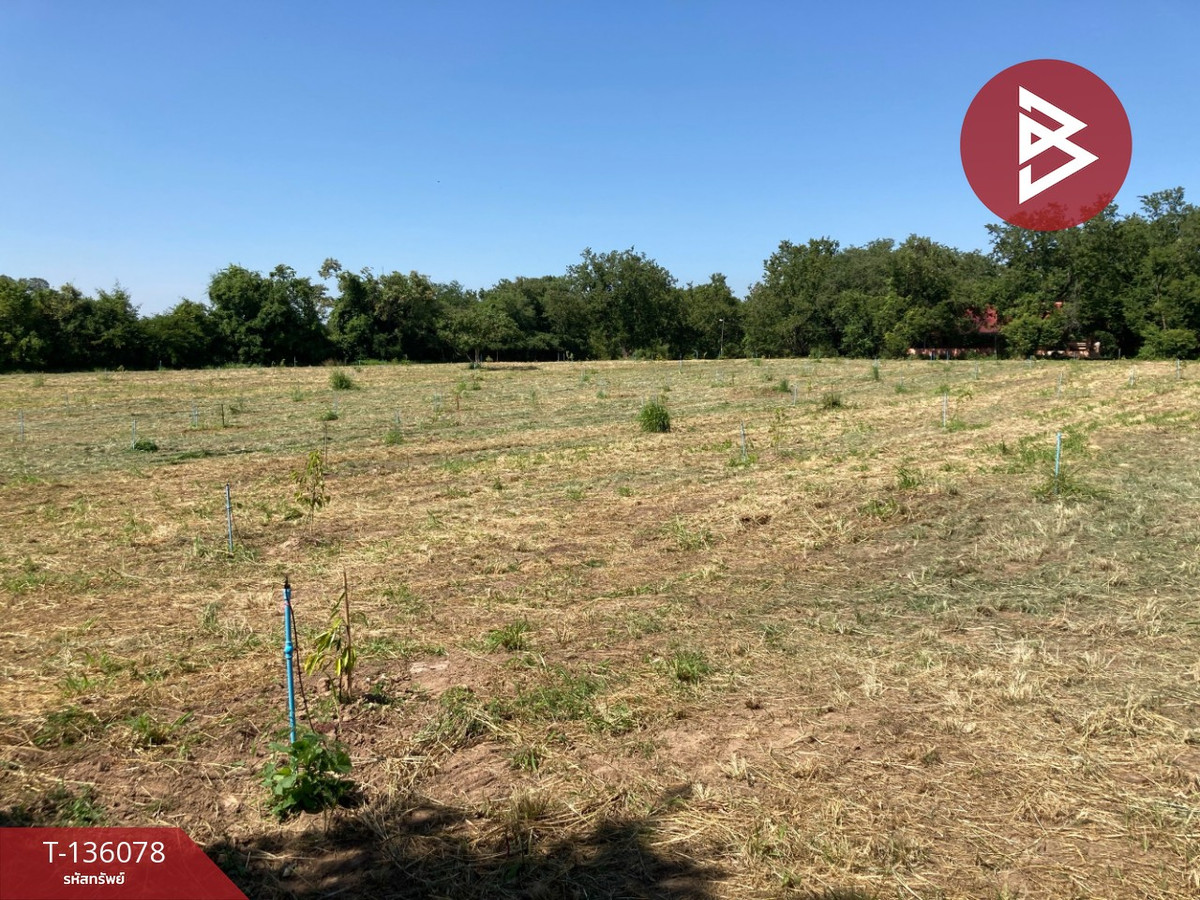 ขายที่ดิน เนื้อที่ 3 ไร่ ปากช่อง นครราชสีมา