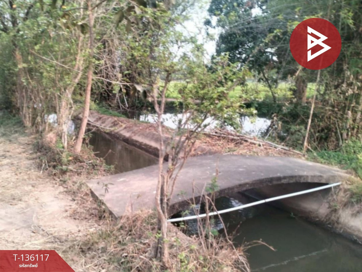 ขายที่ดิน เนื้อที่ 7 ไร่ 75 ตร.วา เสลภูมิ ร้อยเอ็ด