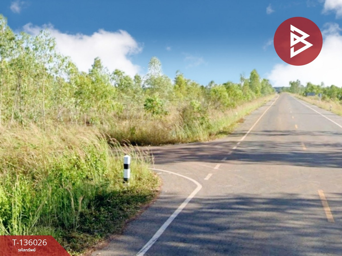 ขายที่ดิน เนื้อที่ 4 ไร่ 1 งาน 20 ตร.วา รัตนวาปี หนองคาย