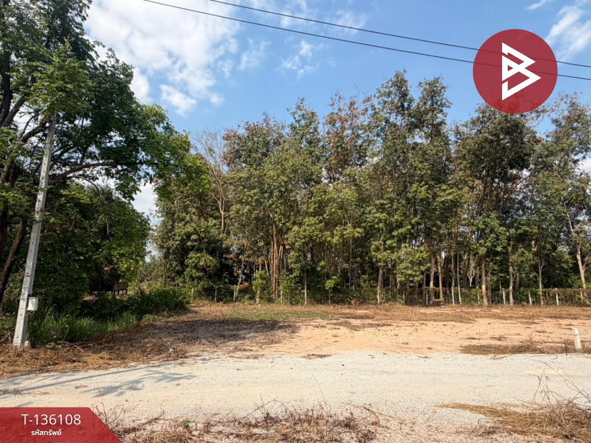 ขายที่ดิน เนื้อที่ 1 งาน บ้านค่าย ระยอง