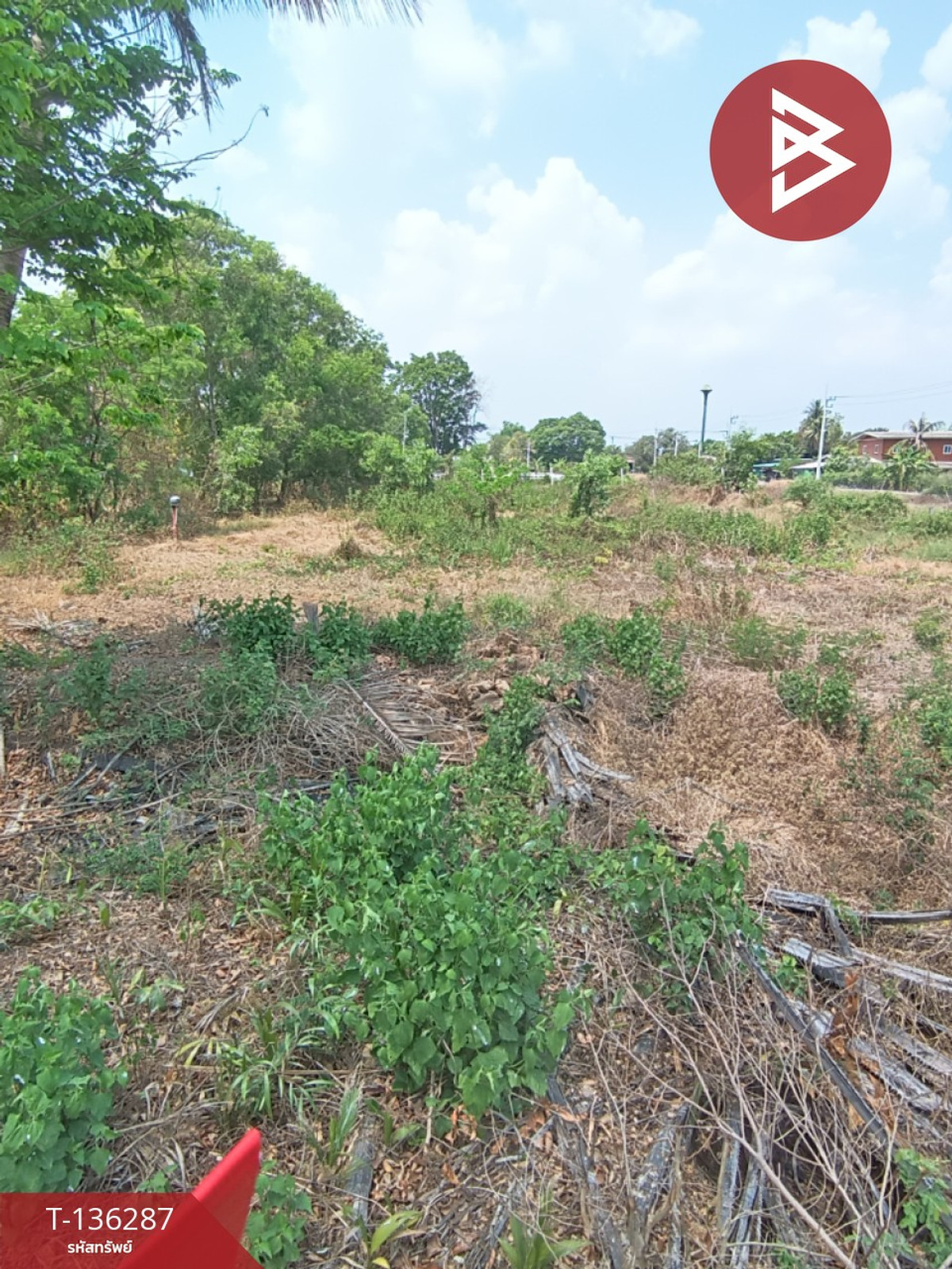 ขายที่ดิน เนื้อที่ 135 ตารางวา คลองหก ปทุมธานี ทำเลดี