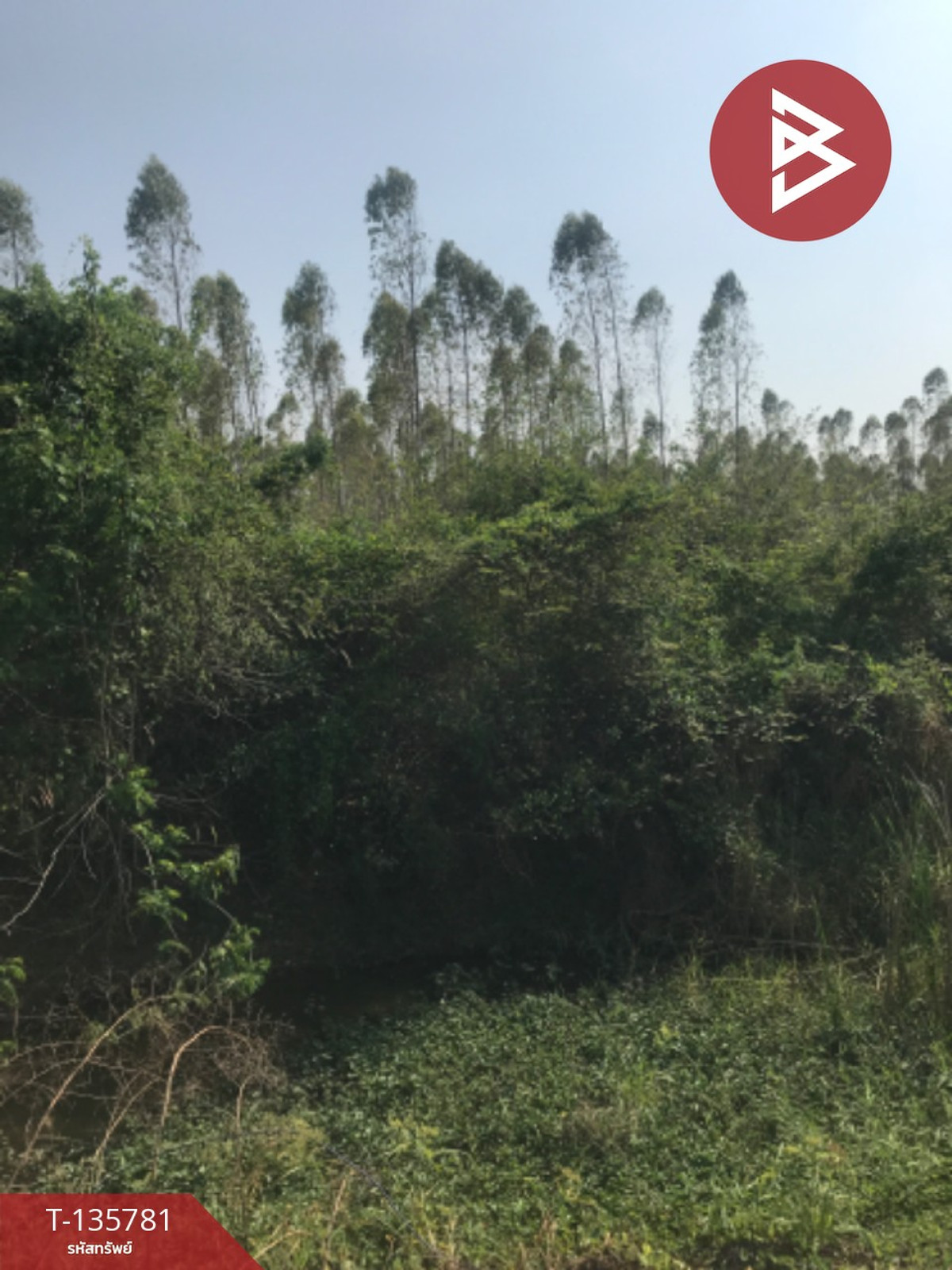 ขายที่ดิน เนื้อที่ 1 ไร่ 50 ตารางวา บ้านโพธิ์ ฉะเชิงเทรา