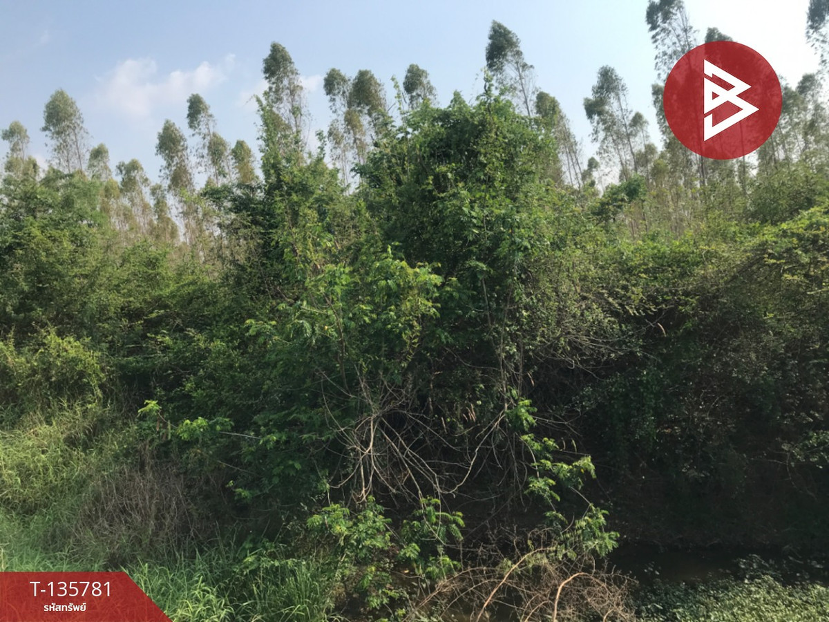 ขายที่ดิน เนื้อที่ 1 ไร่ 50 ตารางวา บ้านโพธิ์ ฉะเชิงเทรา