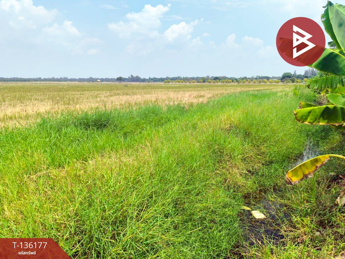 ขายที่ดิน เนื้อที่ 20 ไร่ 1 งาน 89 ตร.วา บางเสาธง สมุทรปราการ