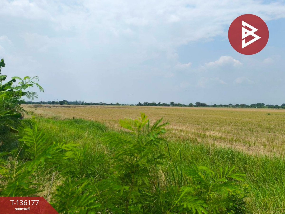 ขายที่ดิน เนื้อที่ 20 ไร่ 1 งาน 89 ตร.วา บางเสาธง สมุทรปราการ