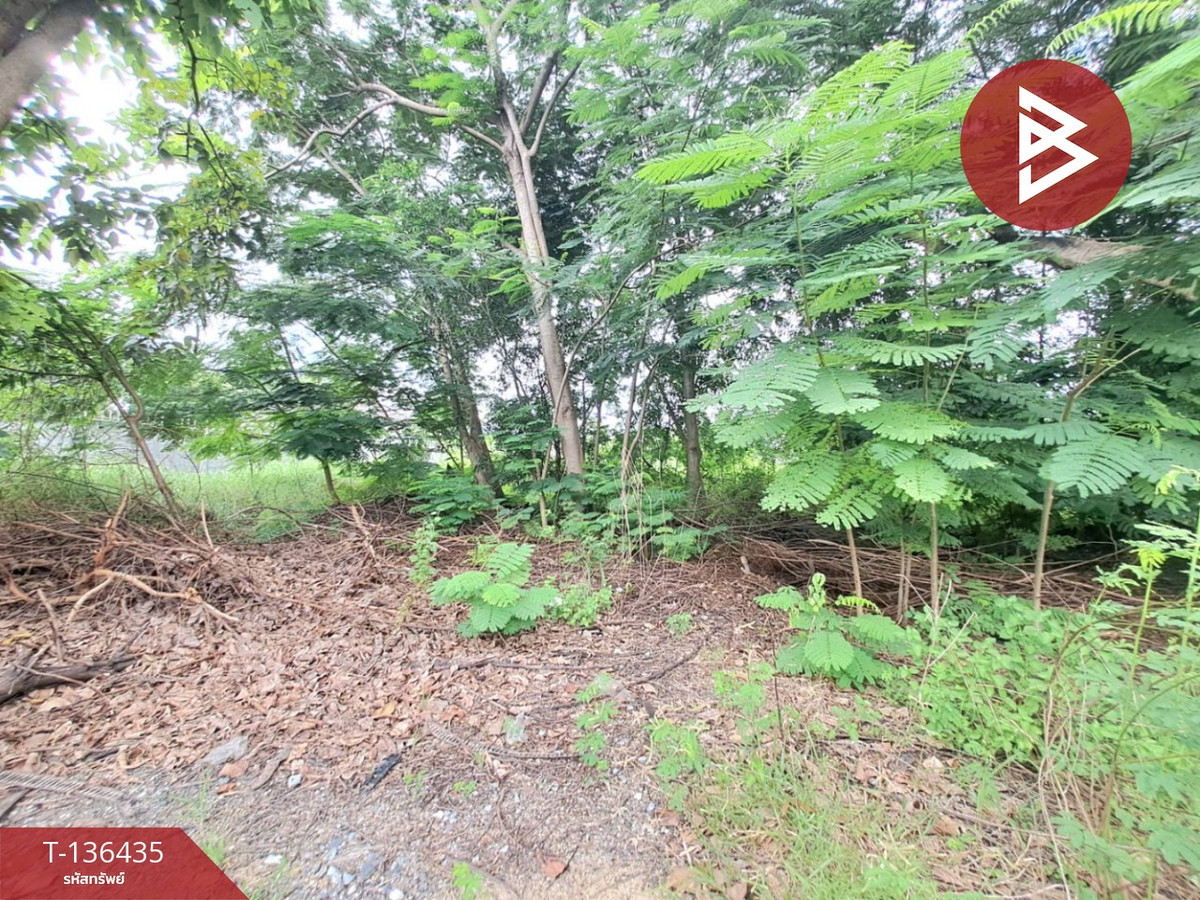 ขายที่ดินเปล่าแปลงสวย เนื้อที่ 3 งาน 66.0 ตร.วา ในสนามกอล์ฟรอยัล ลาดกระบัง-อ่อนนุช สมุทรปราการ