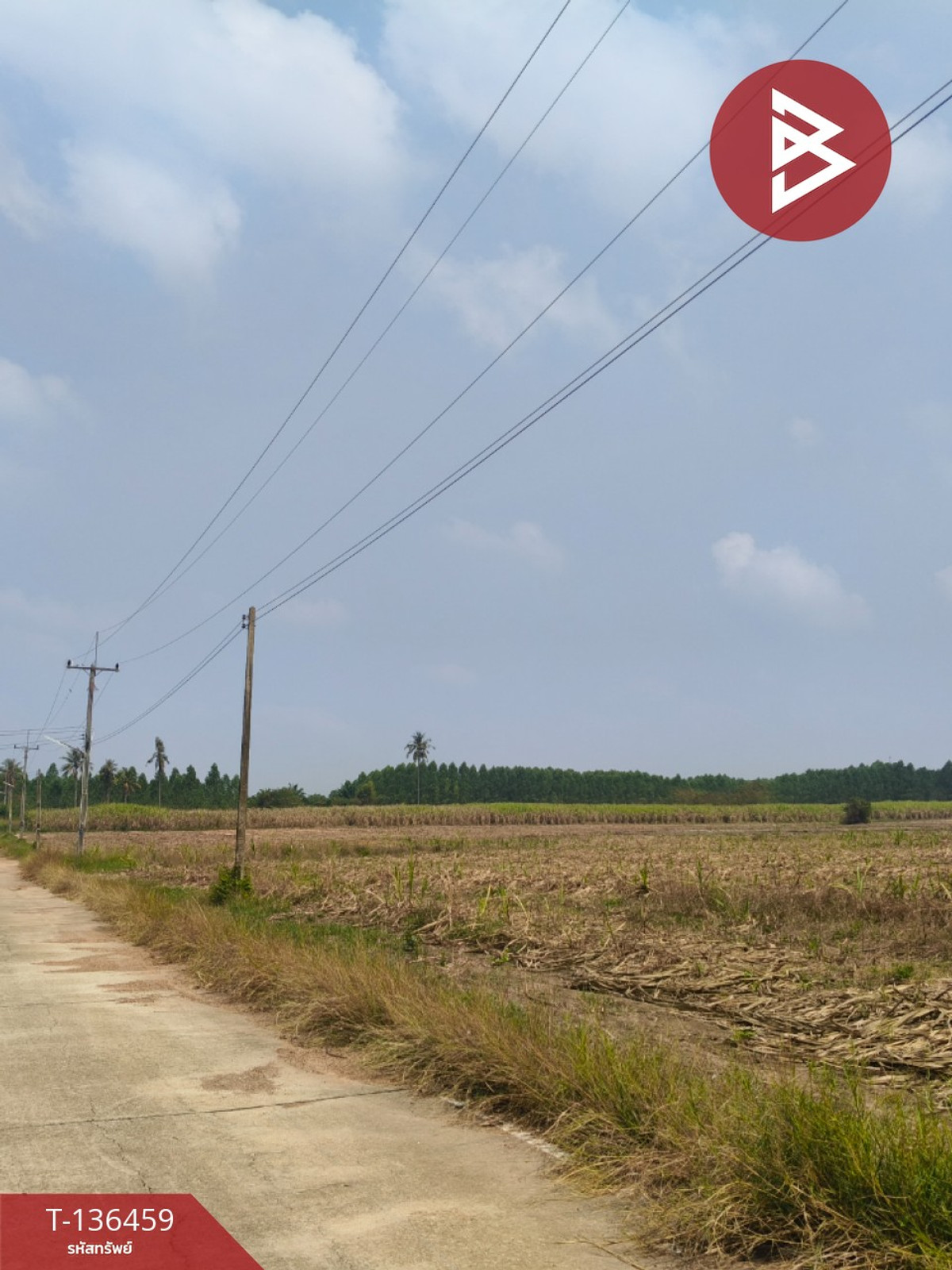 ขายที่ดินเปล่า เนื้อที่ 12 ไร่ 2 งาน 75 ตารางวา ใกล้เทศบาลตำบลธาตุทอง บ่อทอง ชลบุรี