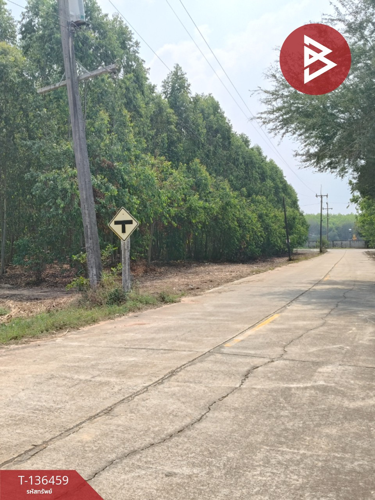 ขายที่ดินเปล่า เนื้อที่ 12 ไร่ 2 งาน 75 ตารางวา ใกล้เทศบาลตำบลธาตุทอง บ่อทอง ชลบุรี