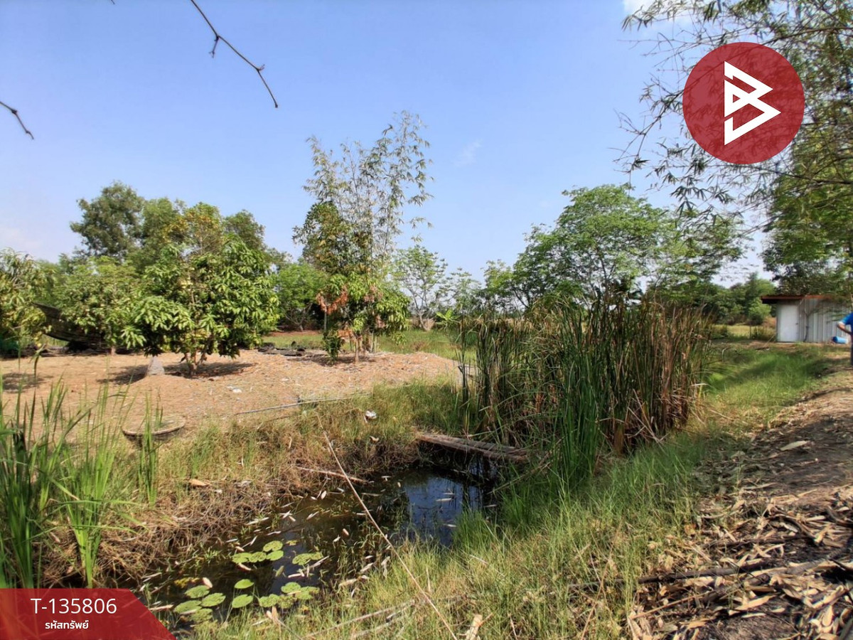 ขายที่ดิน เนื้อที่ 3 งาน 29.1 ตร.วา องครักษ์ นครนายก