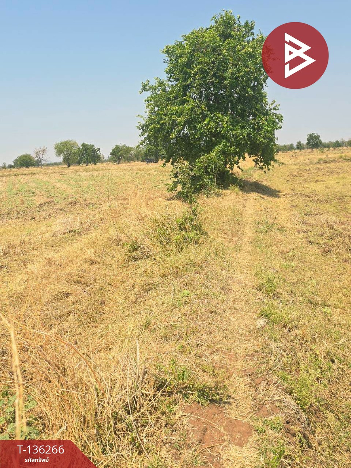 ขายที่ดิน เนื้อที่ 29 ไร่ 1 งาน 65 ตร.วา โคกสำโรง ลพบุรี