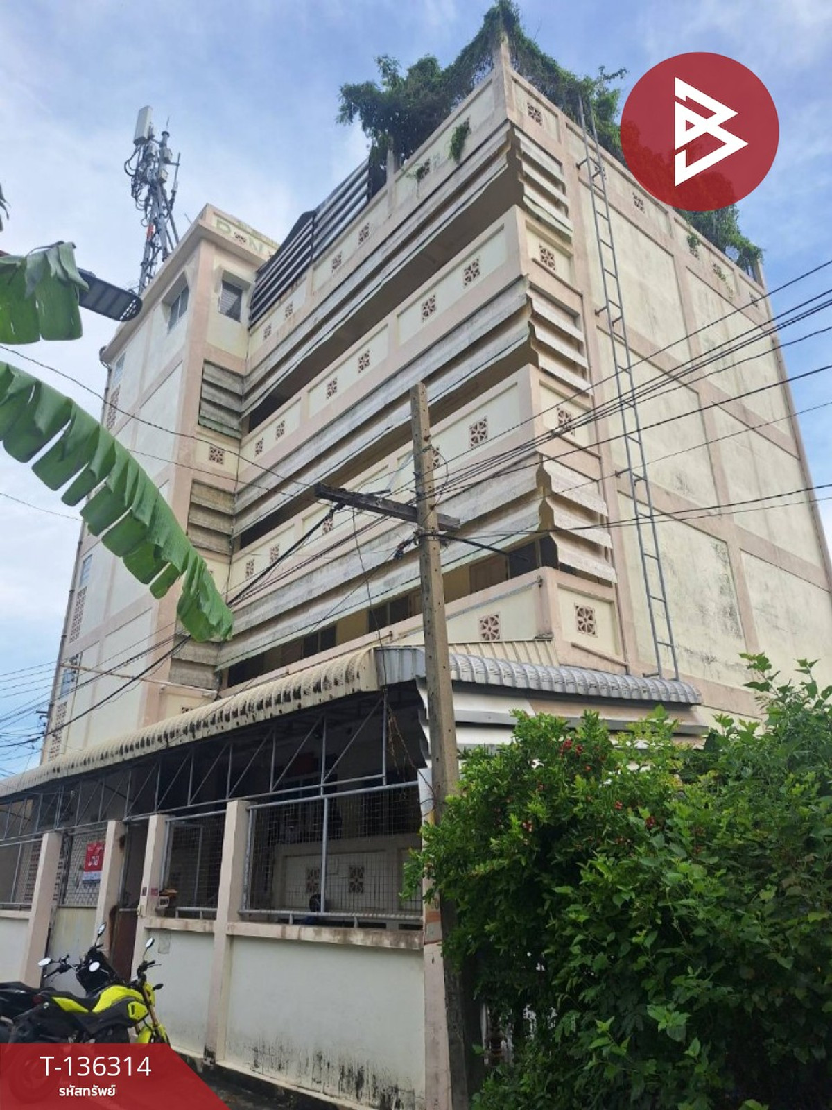 ขายอพาร์ทเม้นท์ ถ.ถนนสุขุมวิท เนื้อที่ 51 ตร.วา บางเมืองใหม่ สมุทรปราการ