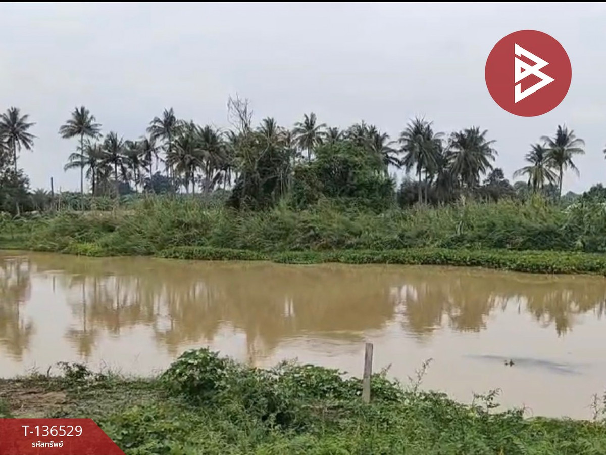 ขายที่ดินจัดสรร เนื้อที่ 3 งาน 19.8 ตารางวา ท่ายาง เพชรบุรี