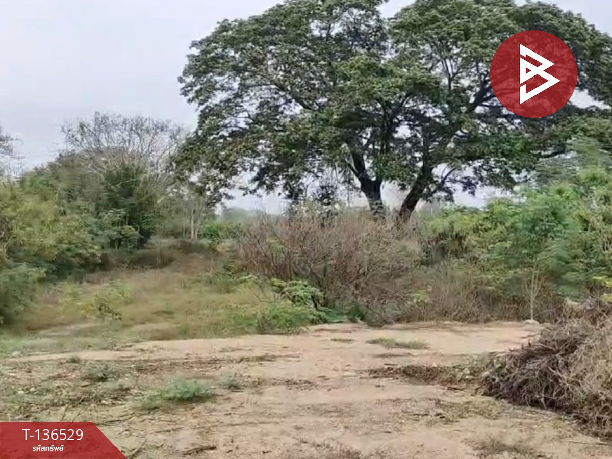 ขายที่ดินจัดสรร เนื้อที่ 3 งาน 19.8 ตารางวา ท่ายาง เพชรบุรี