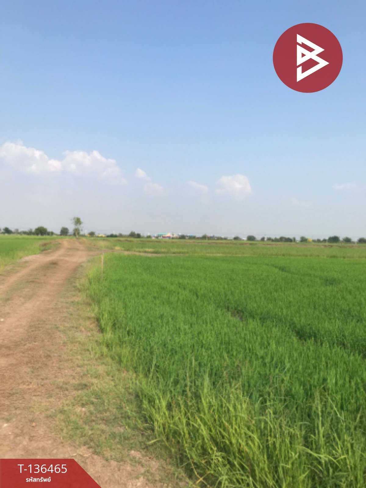 ขายที่ดิน เนื้อที่ 16 ไร่ 3 งาน 4.0 ตารางวา ต.ปากกราน พระนครศรีอยุธยา พื้นที่กว้าง