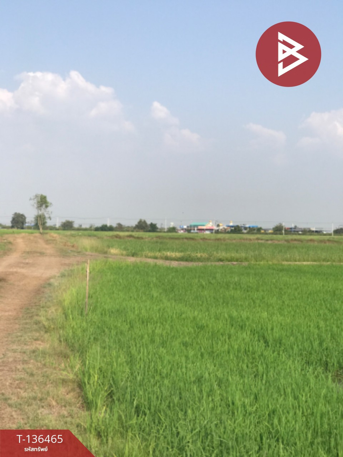 ขายที่ดิน เนื้อที่ 16 ไร่ 3 งาน 4.0 ตารางวา ต.ปากกราน พระนครศรีอยุธยา พื้นที่กว้าง