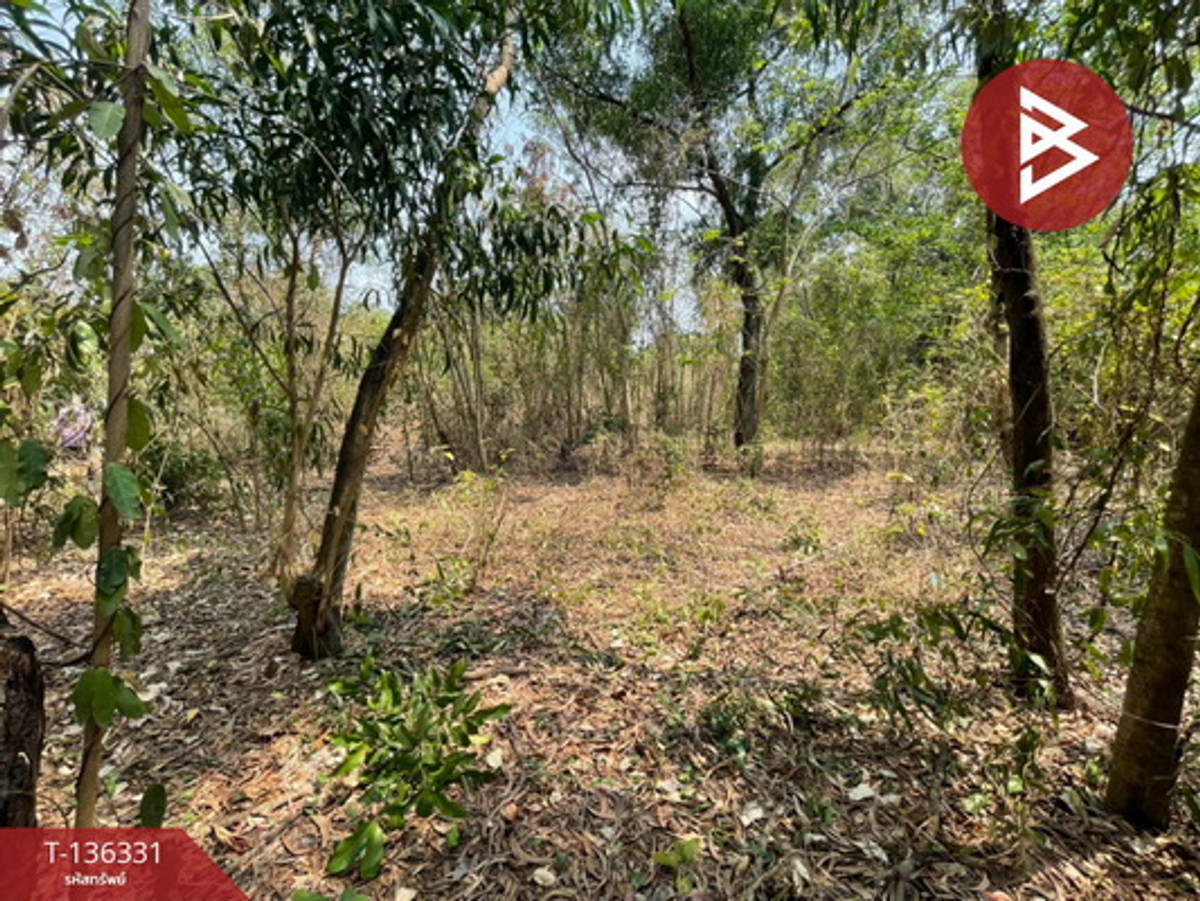 ขายที่ดินเปล่า เนื้อที่ 158 ตร.วา ในหมู่บ้านเลคการ์เด้นวิลล่า ธัญบุรี-คลอง 3 ปทุมธานี