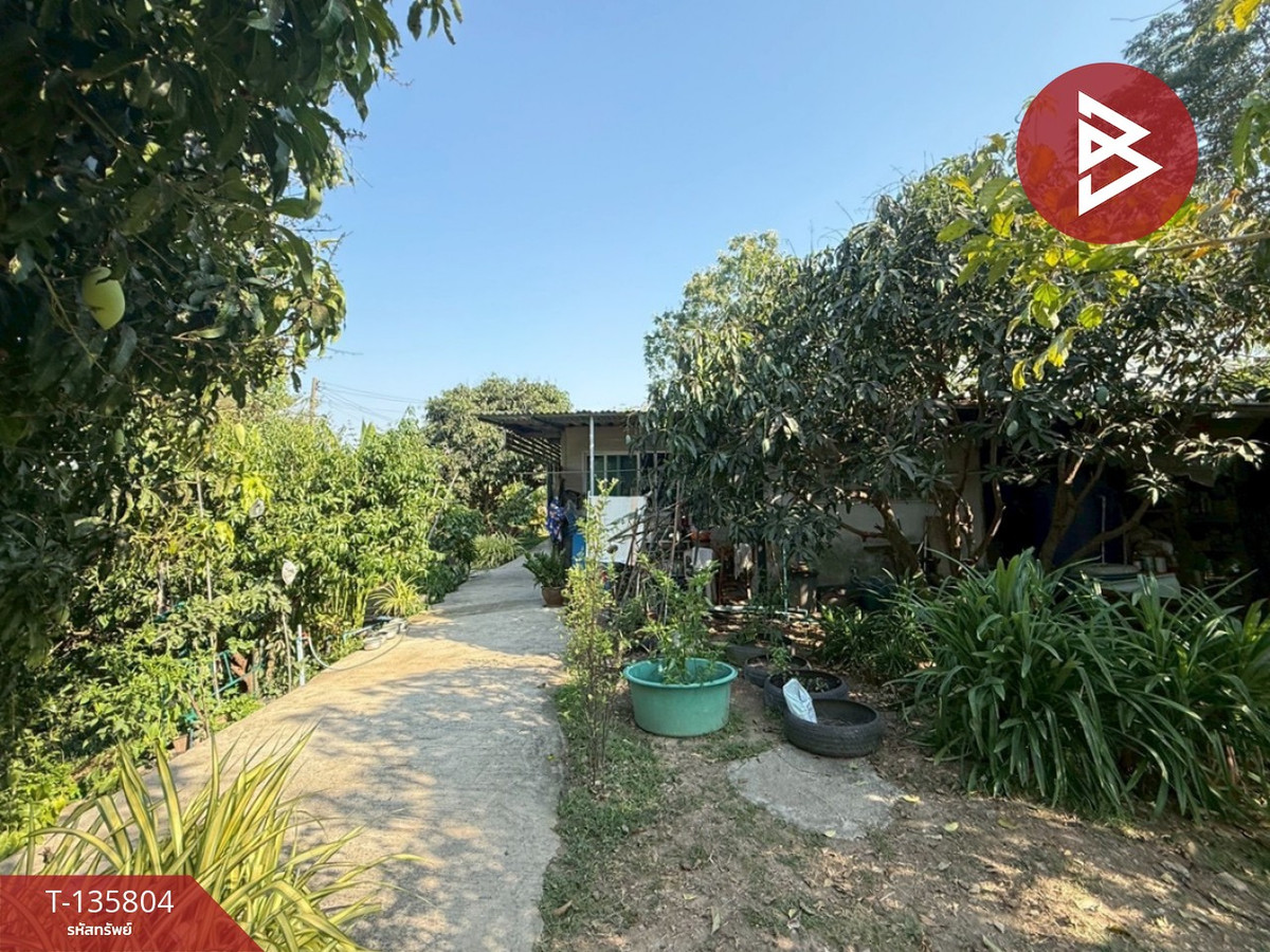 ขายที่ดินพร้อมสิ่งปลูกสร้าง เนื้อที่ 5 ไร่ หนองแค สระบุรี