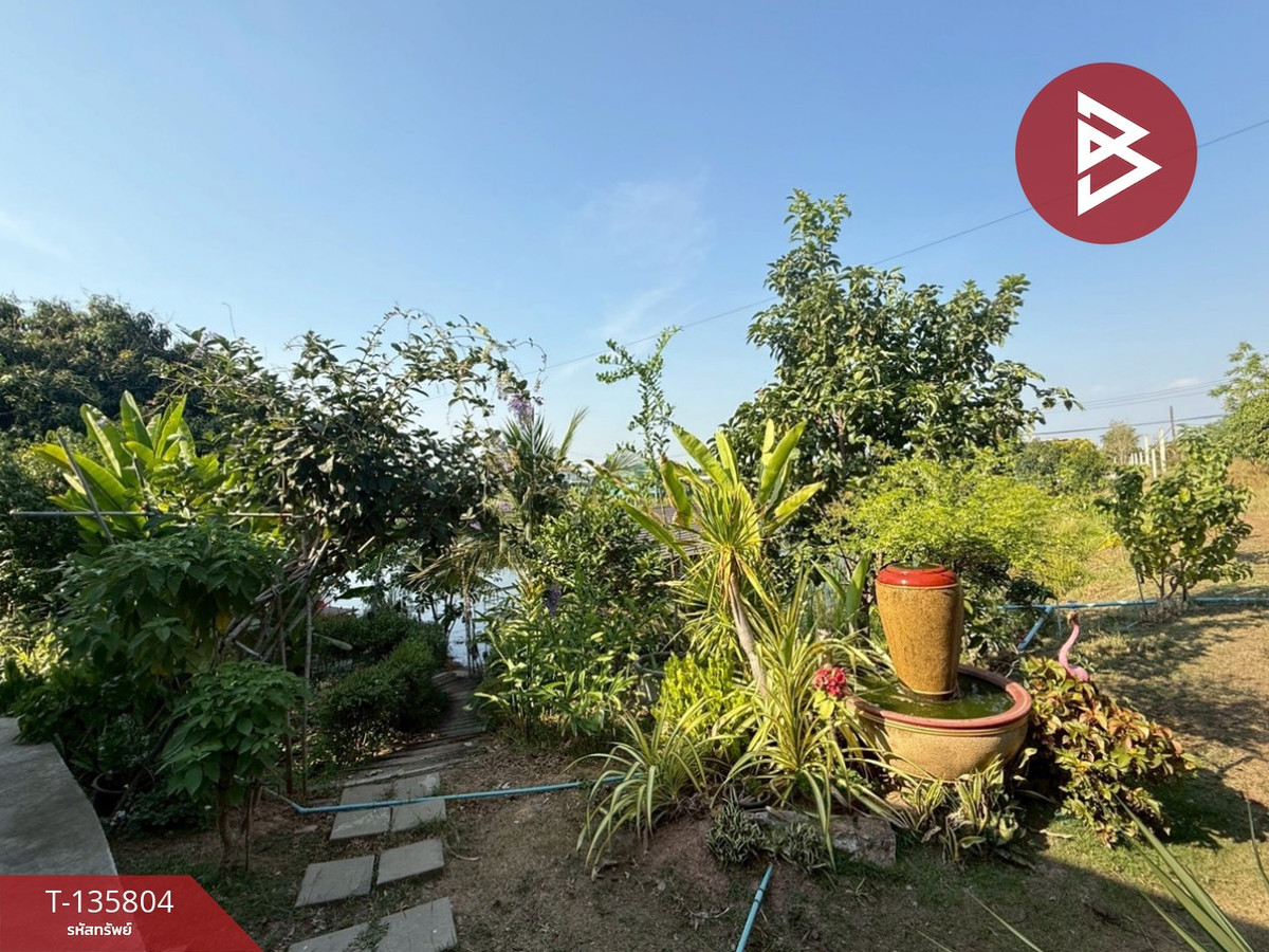 ขายที่ดินพร้อมสิ่งปลูกสร้าง เนื้อที่ 5 ไร่ หนองแค สระบุรี