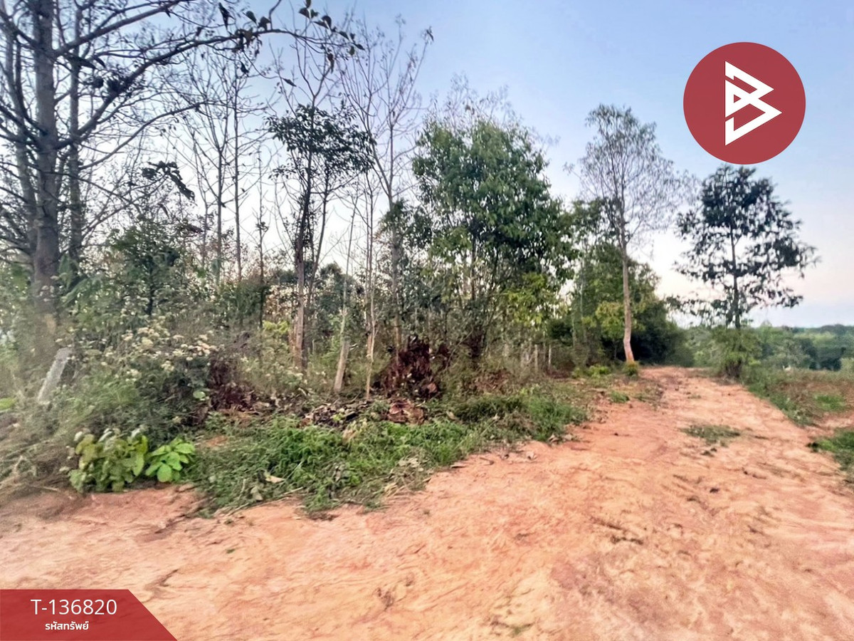 ขายที่ดิน เนื้อที่ 1 ไร่ อ.ด่านซ้าย จังหวัดเลย