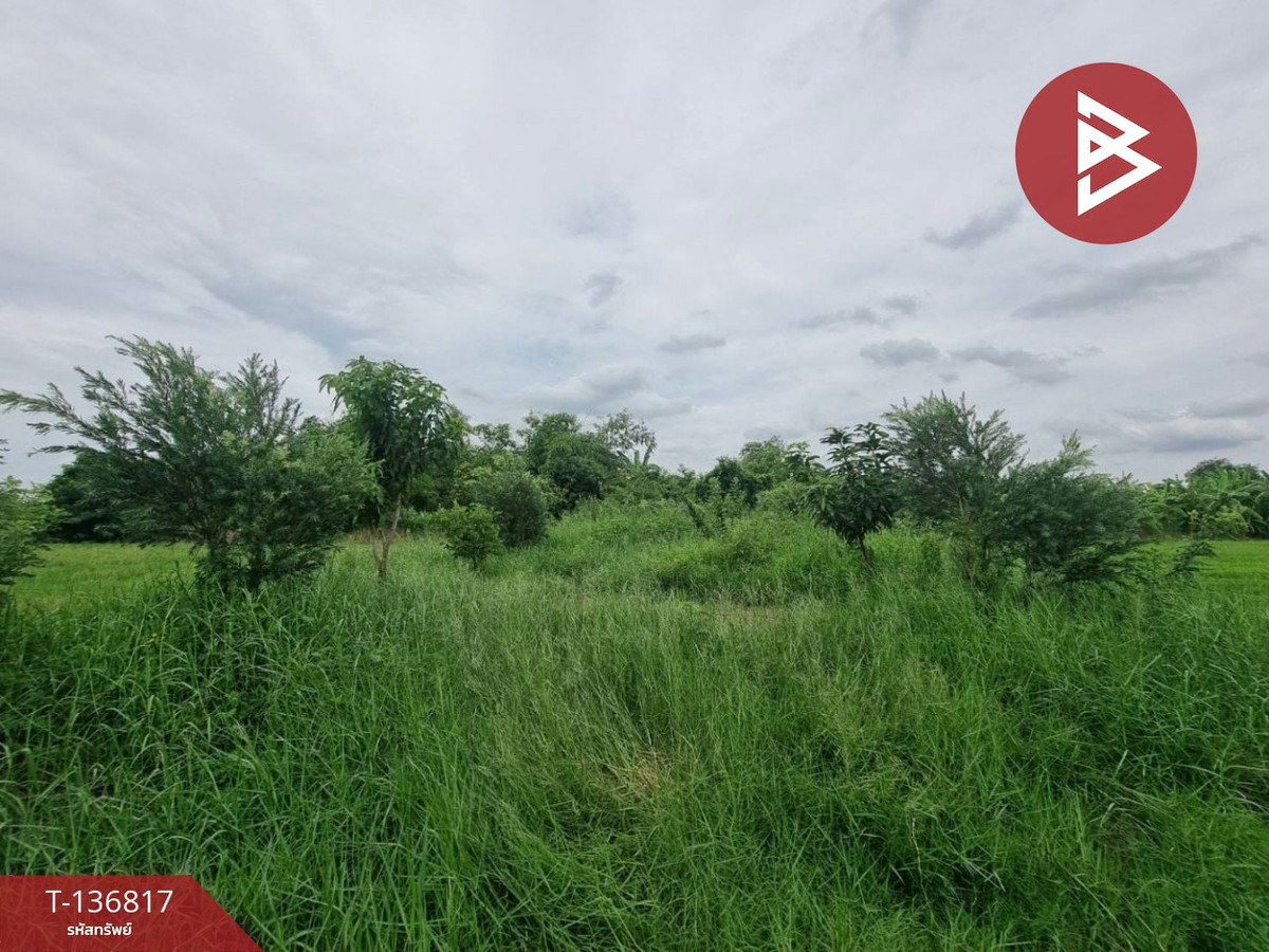 ขายที่ดิน เนื้อที่ 100 ตารางวา บางใหญ่ นนทบุรี