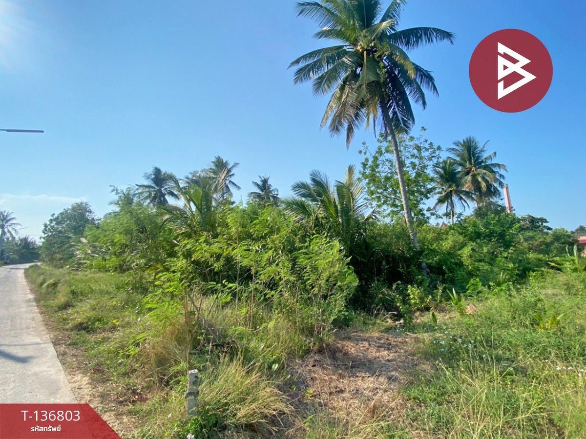 ขายที่ดินเปล่า เนื้อที่ 1 งาน 96.9 ตารางวา อัมพวา สมุทรสงคราม