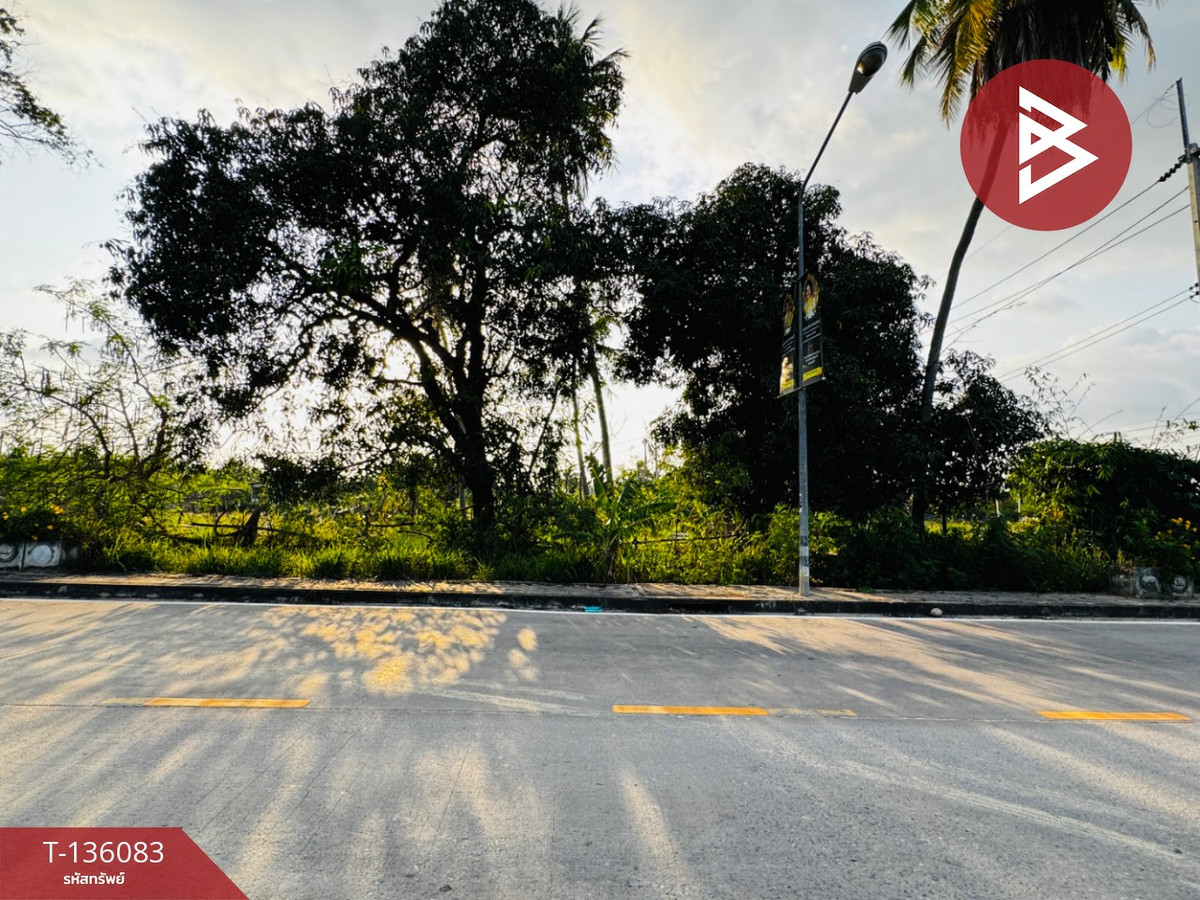 ขายที่ดิน เนื้อที่ 2 งาน บางละมุง ชลบุรี