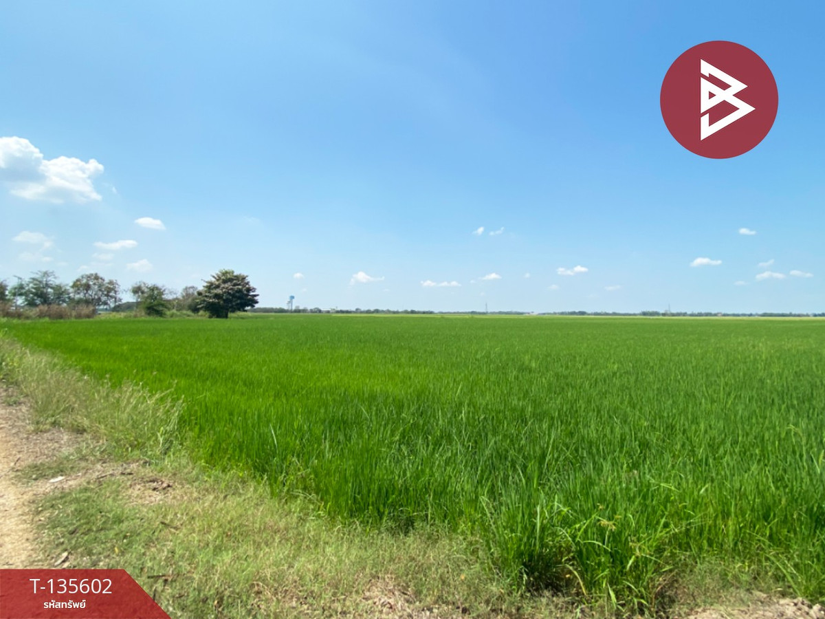 ขายที่ดิน เนื้อที่ 26 ไร่ 2 งาน 28 ตร.วา บางมัญ สิงห์บุรี