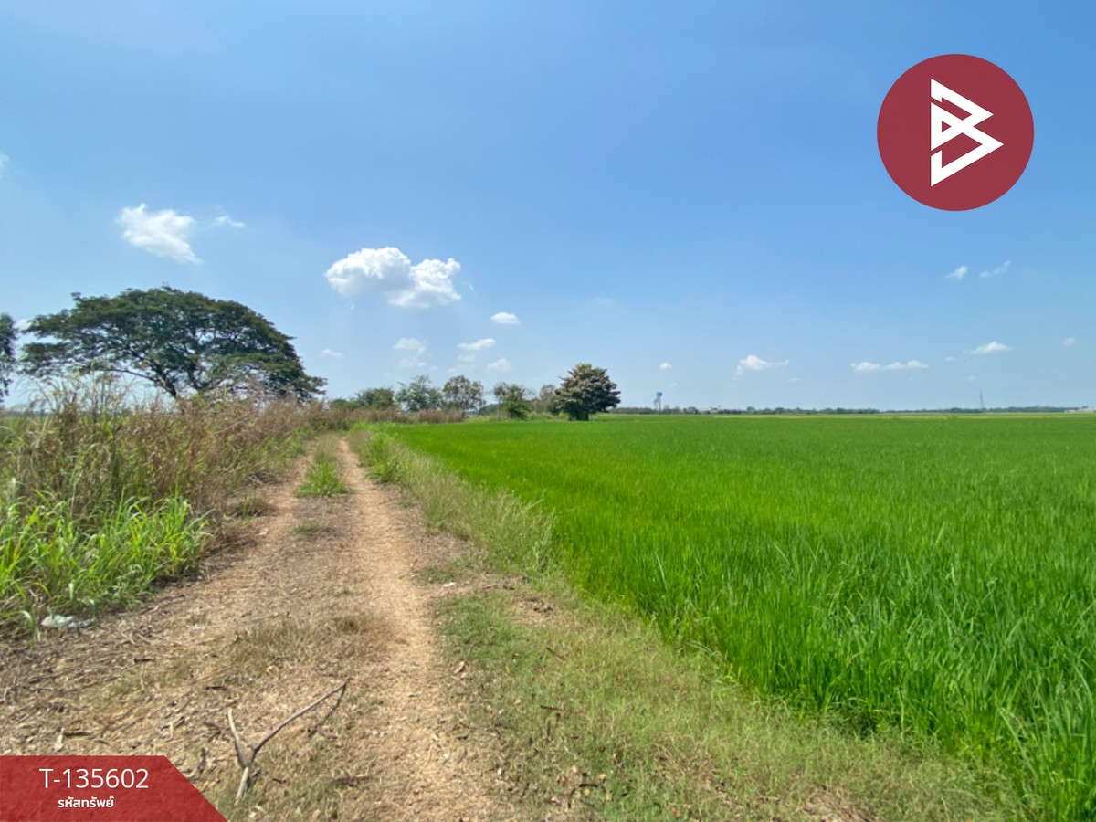 ขายที่ดิน เนื้อที่ 26 ไร่ 2 งาน 28 ตร.วา บางมัญ สิงห์บุรี