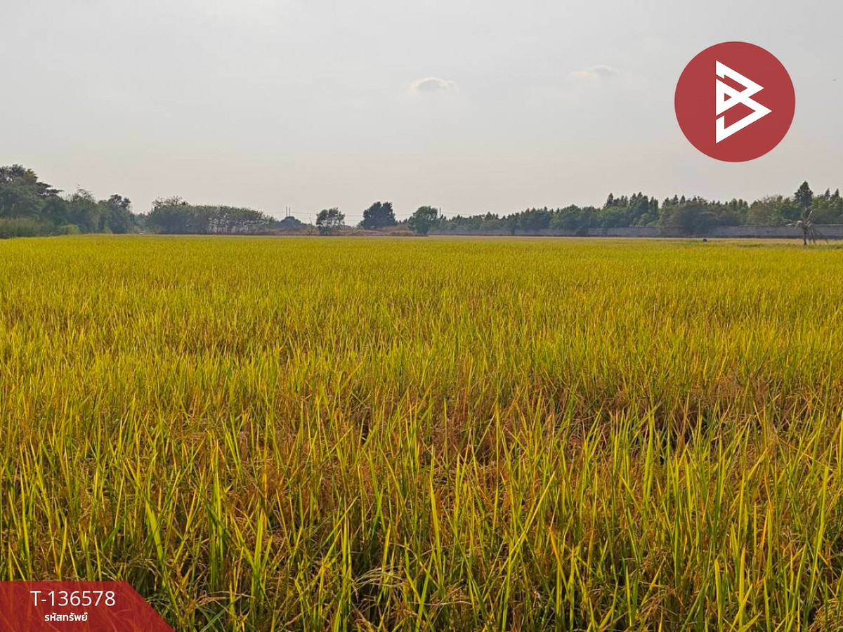 ขายที่ดิน เนื้อที่ 5 ไร่ 1 งาน 83 ตร.วา ลำลูกกา ปทุมธานี พื้นที่ม่วงเข้ม