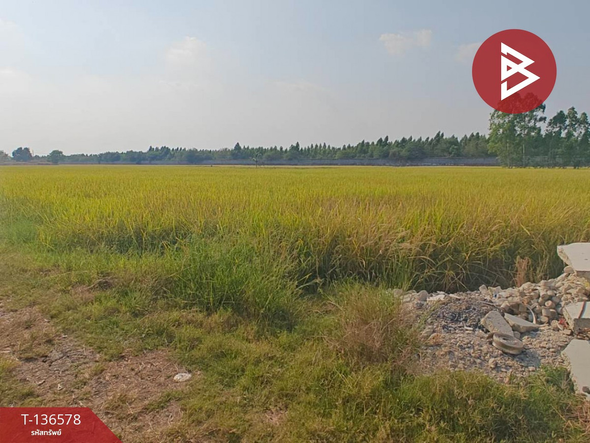 ขายที่ดิน เนื้อที่ 5 ไร่ 1 งาน 83 ตร.วา ลำลูกกา ปทุมธานี พื้นที่ม่วงเข้ม