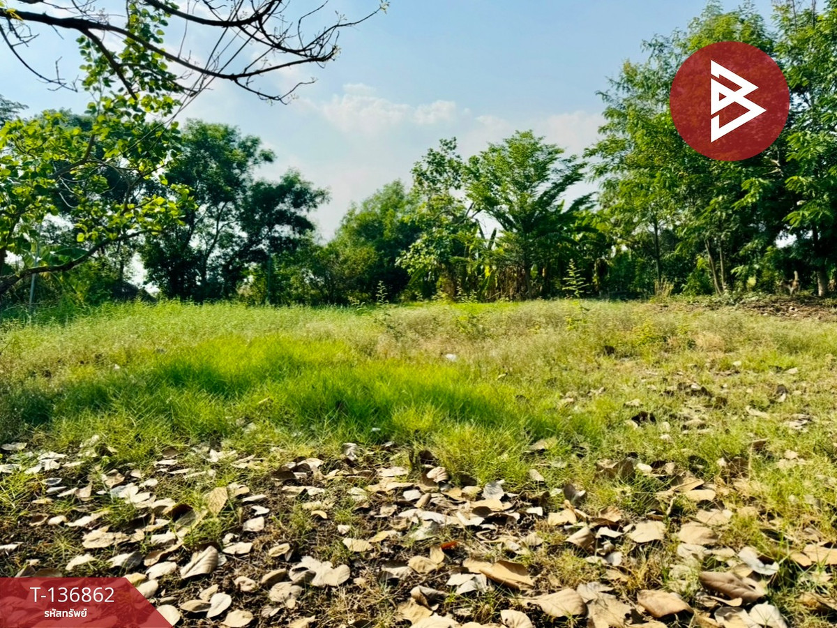 ขายที่ดินเปล่า เนื้อที่ 1 ไร่ 3 งาน 16.5 ตารางวา คลองหลวง ปทุมธานี