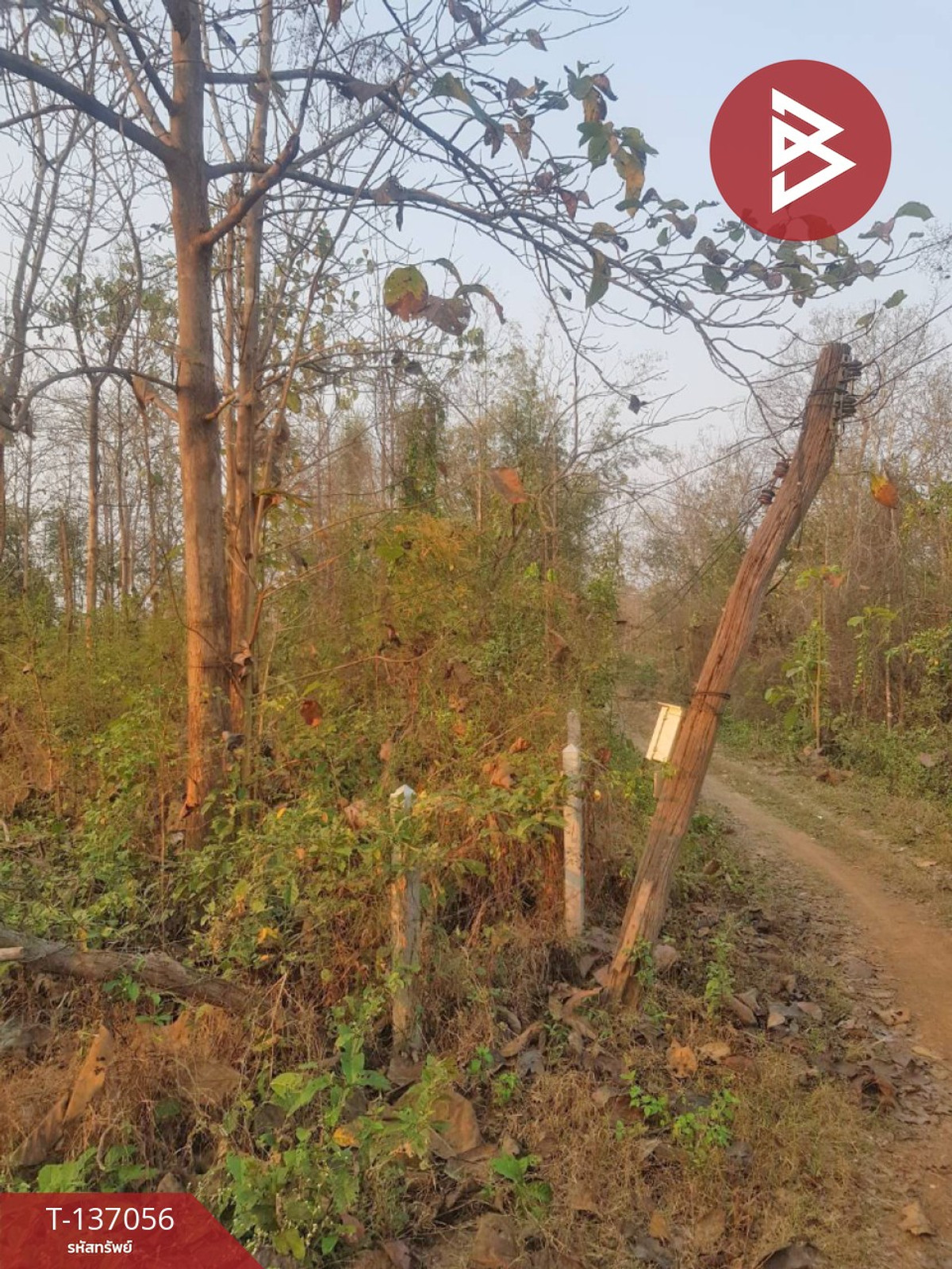 ขายที่ดิน เนื้อที่ 3 ไร่ 1 งาน 73 ตารางวา ต.นาแก้ว อ.เกาะคา จ.ลำปาง