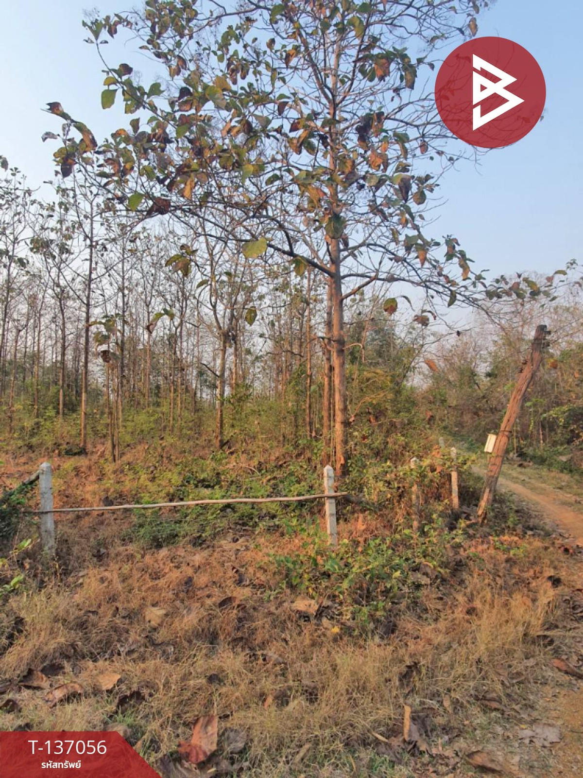 ขายที่ดิน เนื้อที่ 3 ไร่ 1 งาน 73 ตารางวา ต.นาแก้ว อ.เกาะคา จ.ลำปาง