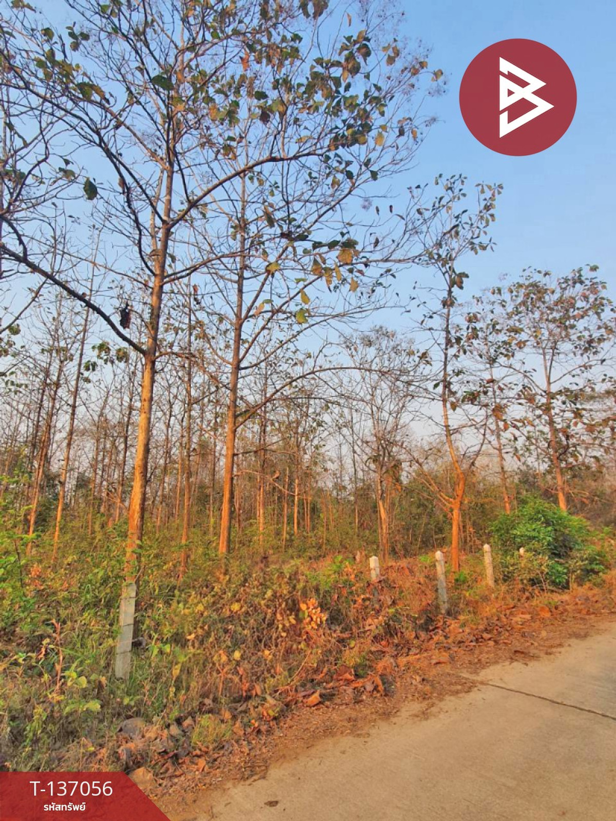 ขายที่ดิน เนื้อที่ 3 ไร่ 1 งาน 73 ตารางวา ต.นาแก้ว อ.เกาะคา จ.ลำปาง