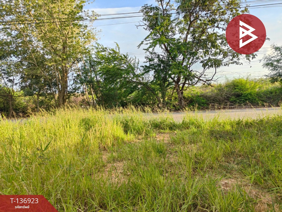 ขายที่ดิน เนื้อที่ 1 งาน 14 ตร.วา วังตะเคียน ฉะเชิงเทรา