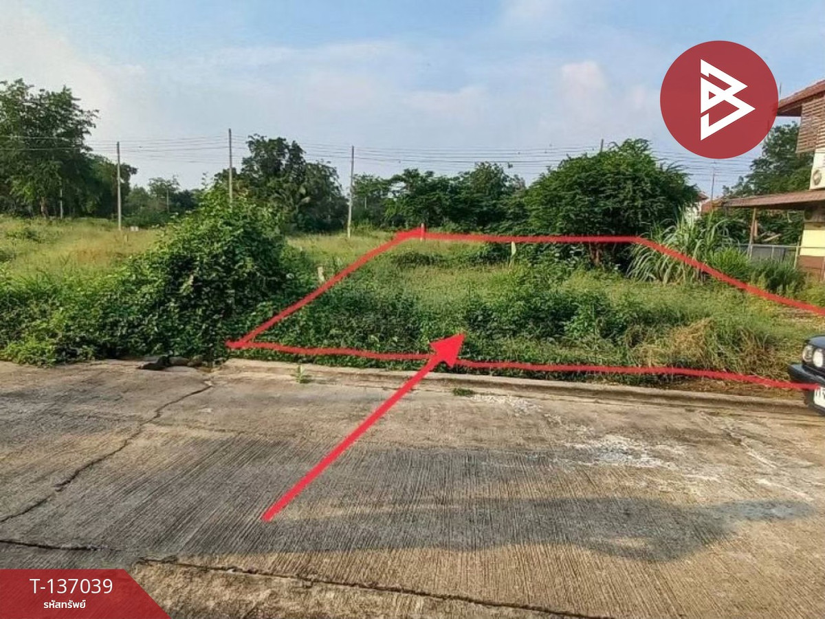 ขายที่ดิน เนื้อที่ 50 ตร.วา ชะอำ เพชรบุรี