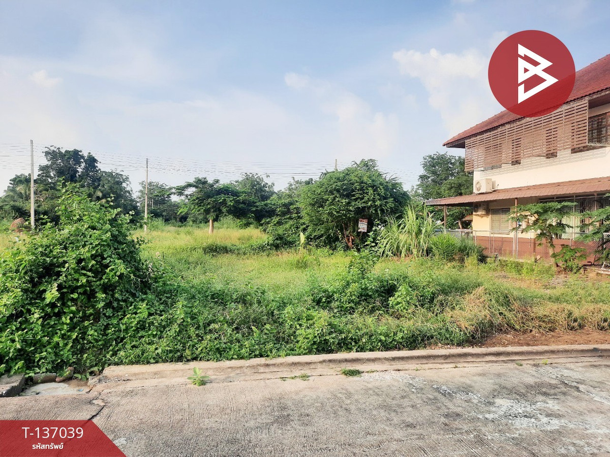 ขายที่ดิน เนื้อที่ 50 ตร.วา ชะอำ เพชรบุรี