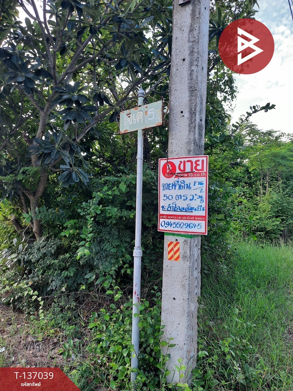 ขายที่ดิน เนื้อที่ 50 ตร.วา ชะอำ เพชรบุรี