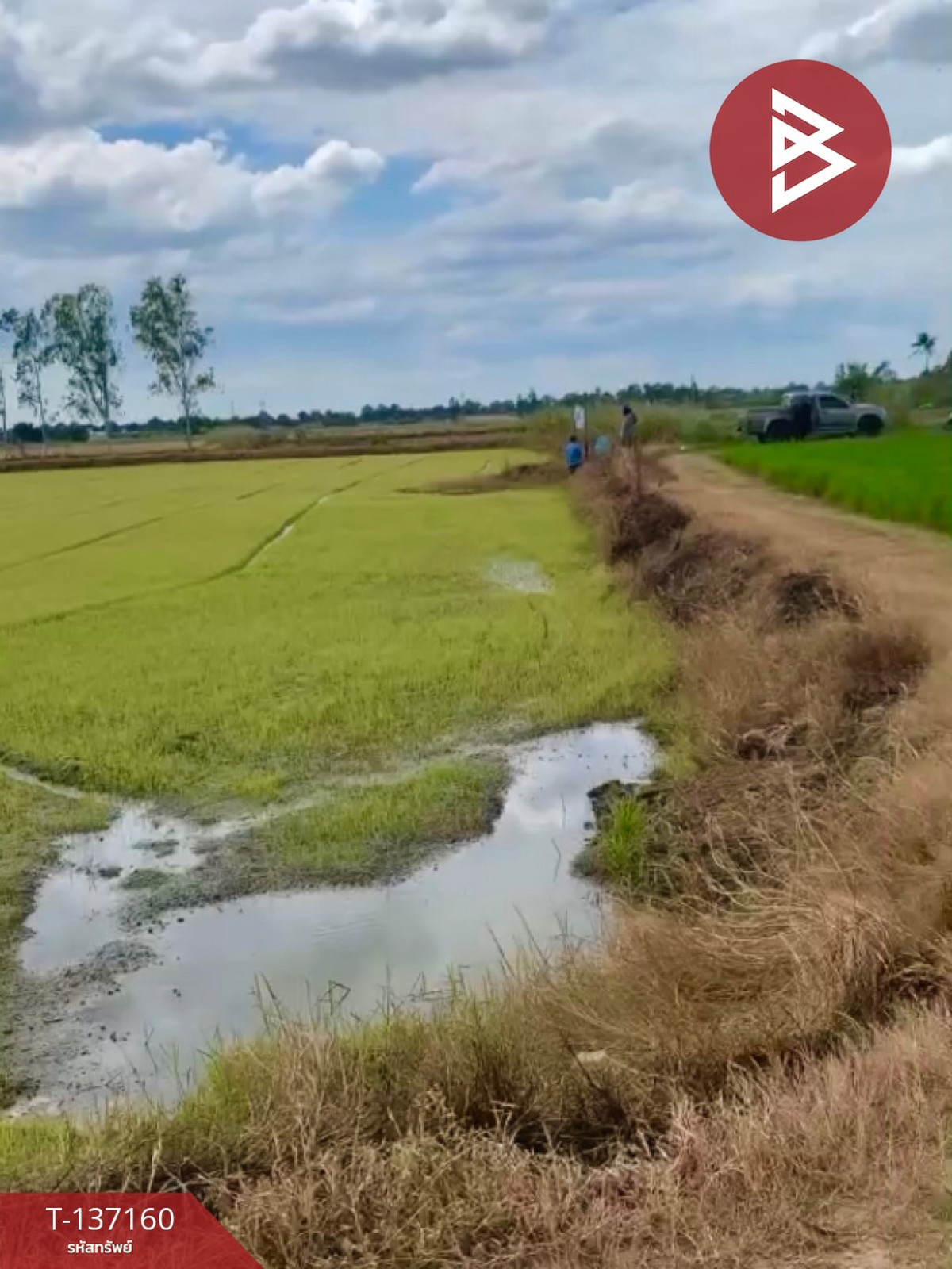 ขายที่ดิน เนื้อที่ 6 ไร่ 1 งาน 78 ตร.วา พรหมบุรี สิงห์บุรี