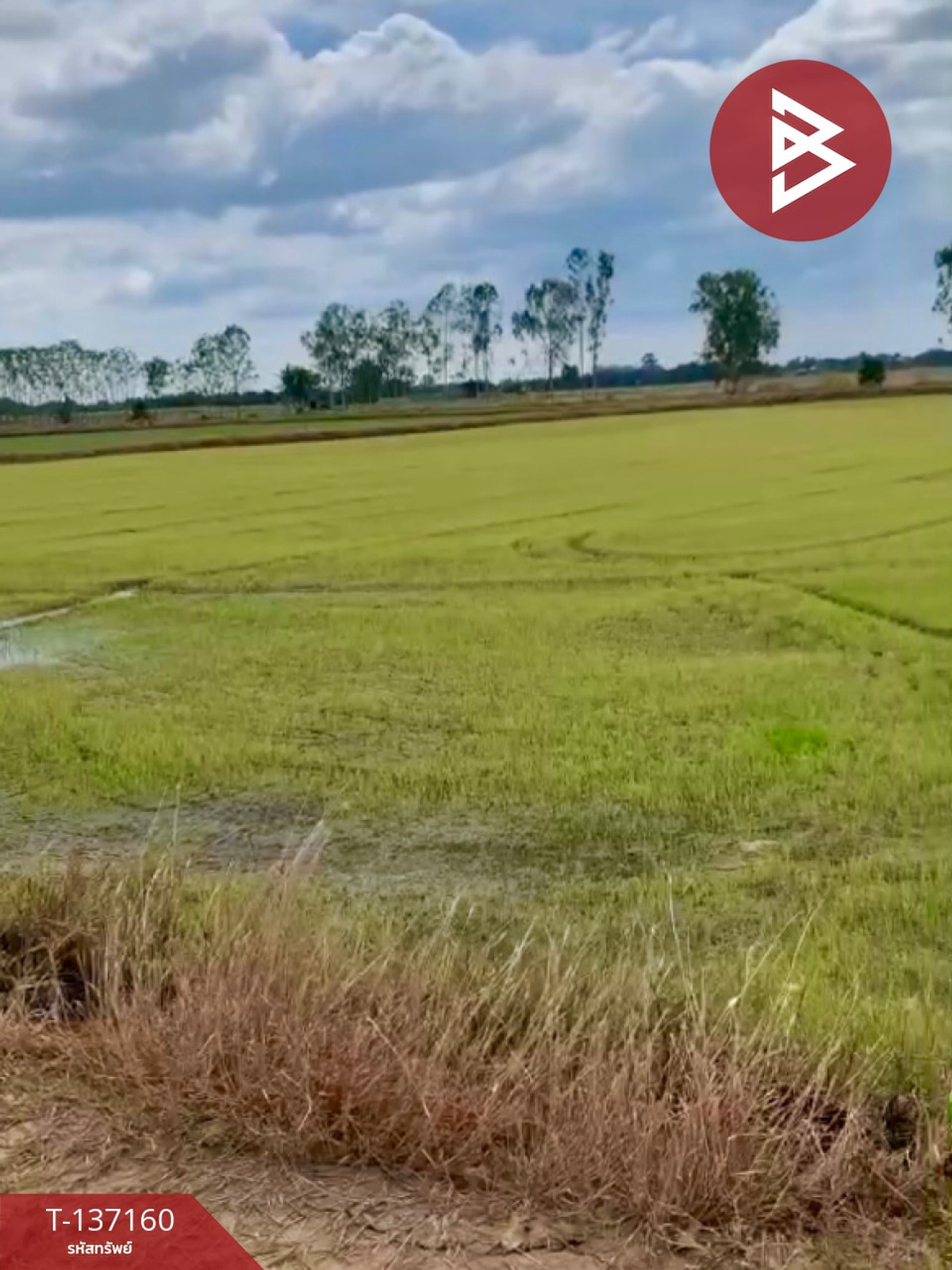 ขายที่ดิน เนื้อที่ 6 ไร่ 1 งาน 78 ตร.วา พรหมบุรี สิงห์บุรี