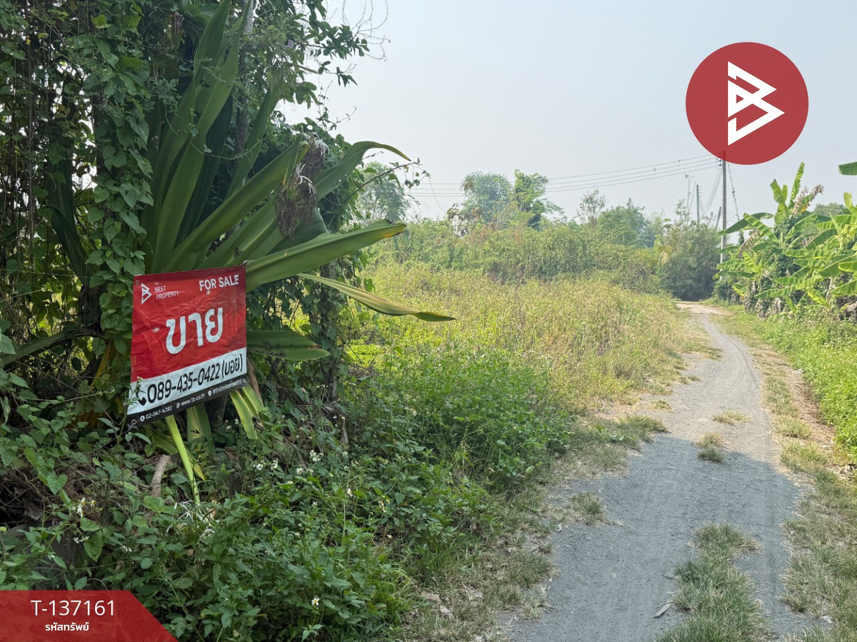 ขายที่ดิน เนื้อที่ 83 ตร.วา สารภี เชียงใหม่