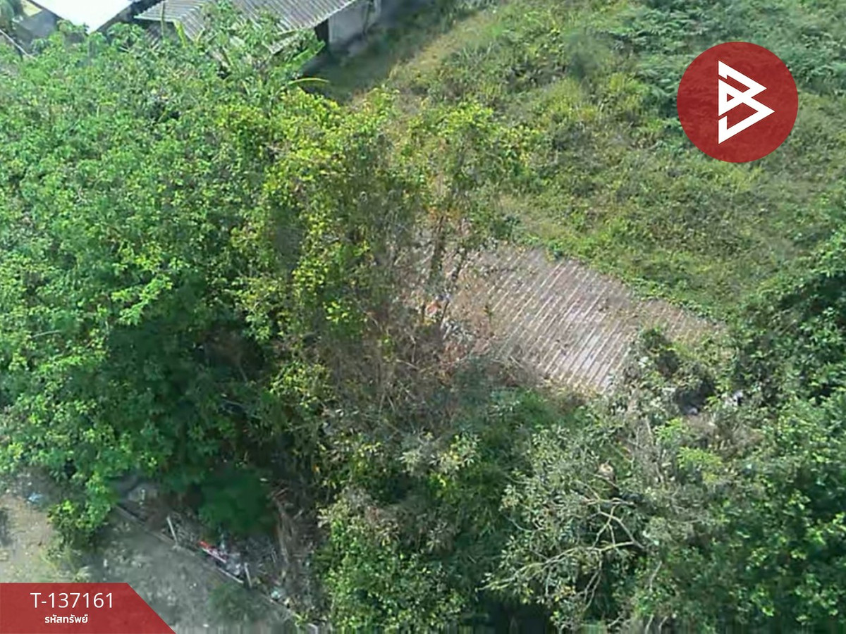 ขายที่ดิน เนื้อที่ 83 ตร.วา สารภี เชียงใหม่