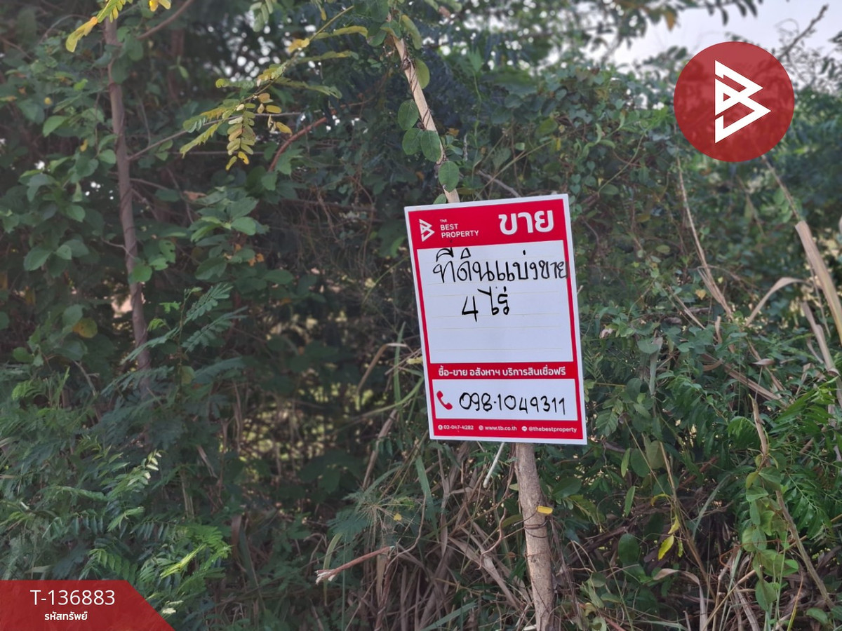 ขายที่ดิน เนื้อที่ 4 ไร่ อ.คง นครราชสีมา