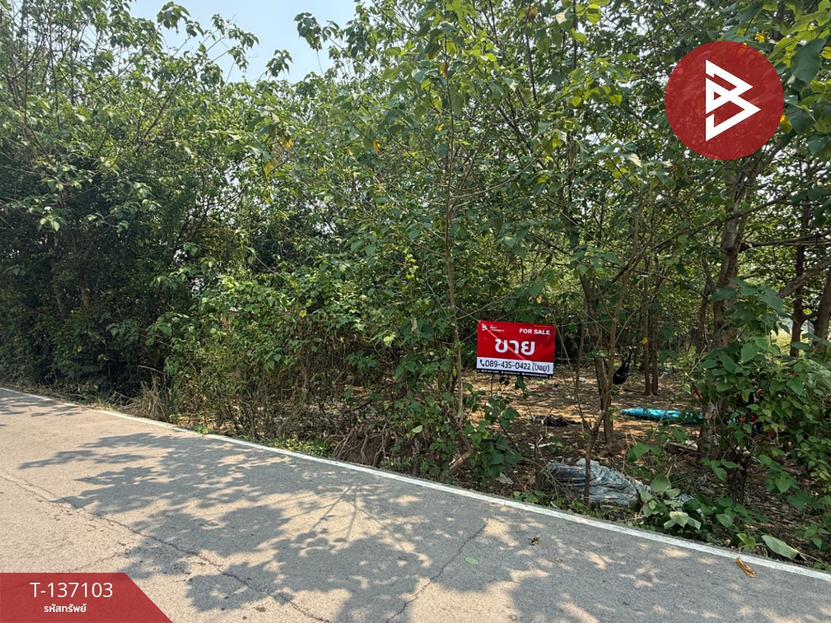 ขายที่ดิน เนื้อที่ 3 งาน 96 ตร.วา หางดง เชียงใหม่